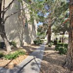 Flamingo Palms Villas