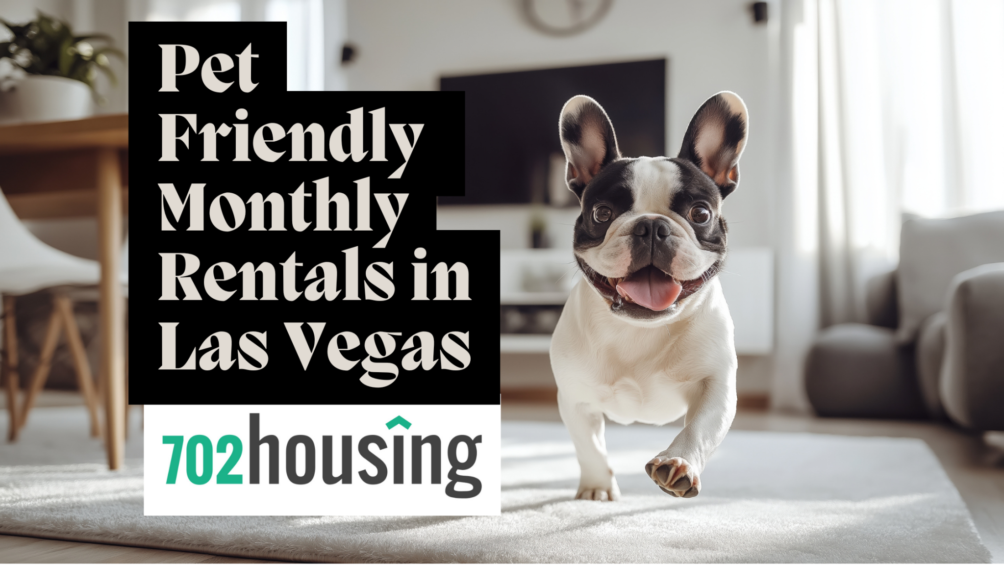 Cute pug running toward the camera in a stylish, fully furnished living room next to blog title “Pet Friendly Monthly Rentals Las Vegas”
